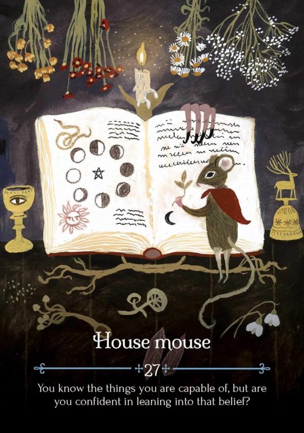 Cărți Oracol » Seasons of the Witch: Imbolc Oracle - imagine 6