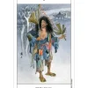 Cărți Tarot » The Chinese Tarot - imagine 4