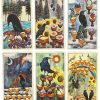 Cărți Tarot » The Crow Tarot - imagine 2
