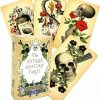 Cărți Tarot » Antique Anatomy - imagine 2
