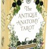 Antique Anatomy