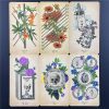 Cărți Tarot » Antique Anatomy - imagine 4
