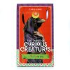 Curious Creatures