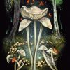 Cărți Tarot » Midnight Magic - A Tarot Deck of Mushrooms - imagine 2