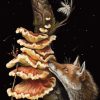 Cărți Tarot » Midnight Magic - A Tarot Deck of Mushrooms - imagine 4
