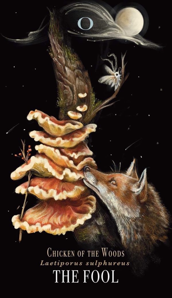 Cărți Tarot » Midnight Magic - A Tarot Deck of Mushrooms - imagine 4