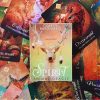 Spirit Animal Oracle Deck - imagine 2
