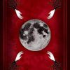 Cărți Oracol » Seasons of the Witch: Samhain Oracle - imagine 2