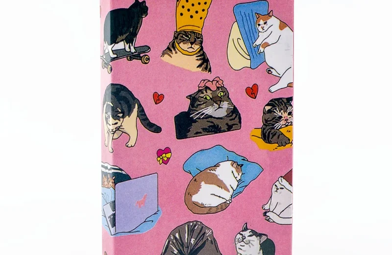 Cat Meme Tarot (Major Arcana)